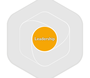 Profession-Map-Framework-components-Leadership