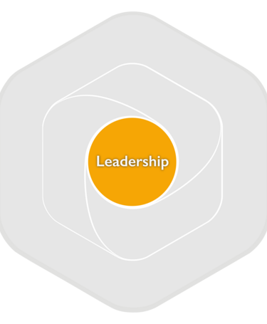 Profession-Map-Framework-components-Leadership