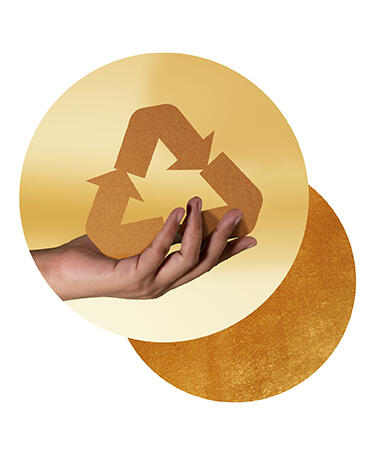 Sustainability Impact