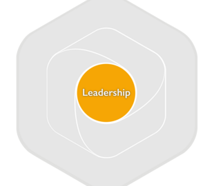 Profession-Map-Framework-components-Leadership