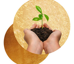 Emerging Talent category International Quality Awards