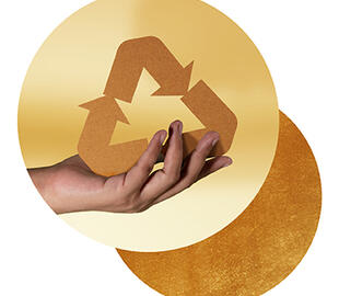 Sustainability Impact