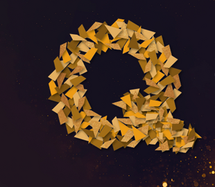 CQII Quality Award Program
