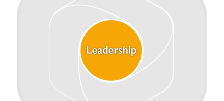 Profession-Map-Framework-components-Leadership