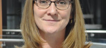 Suzanne Hill -The Profession Map advocates Suzanne Hill -The Profession Map advocates