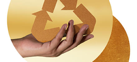 Sustainability Impact